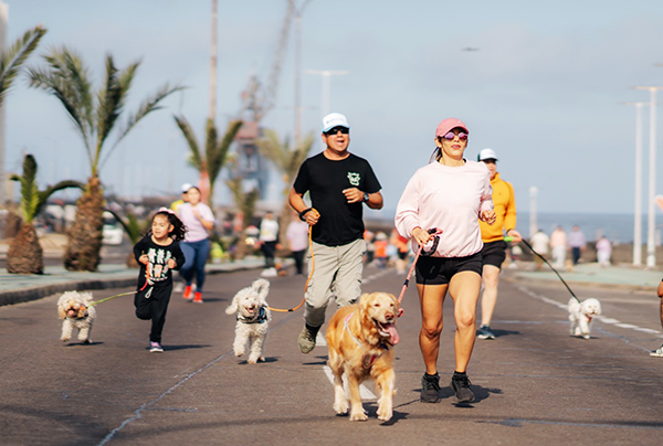 ¡A Mover la Cola! Vuelve Corrida Familiar Perruna de Creo Antofagasta  ➡️region2.cl/a-mover-la-col…⬅️

#Antofagasta #Calama #Tocopilla #Taltal #Mejillones #Maríaelena #Sierragorda #Sanpedrodeatacama #Chile