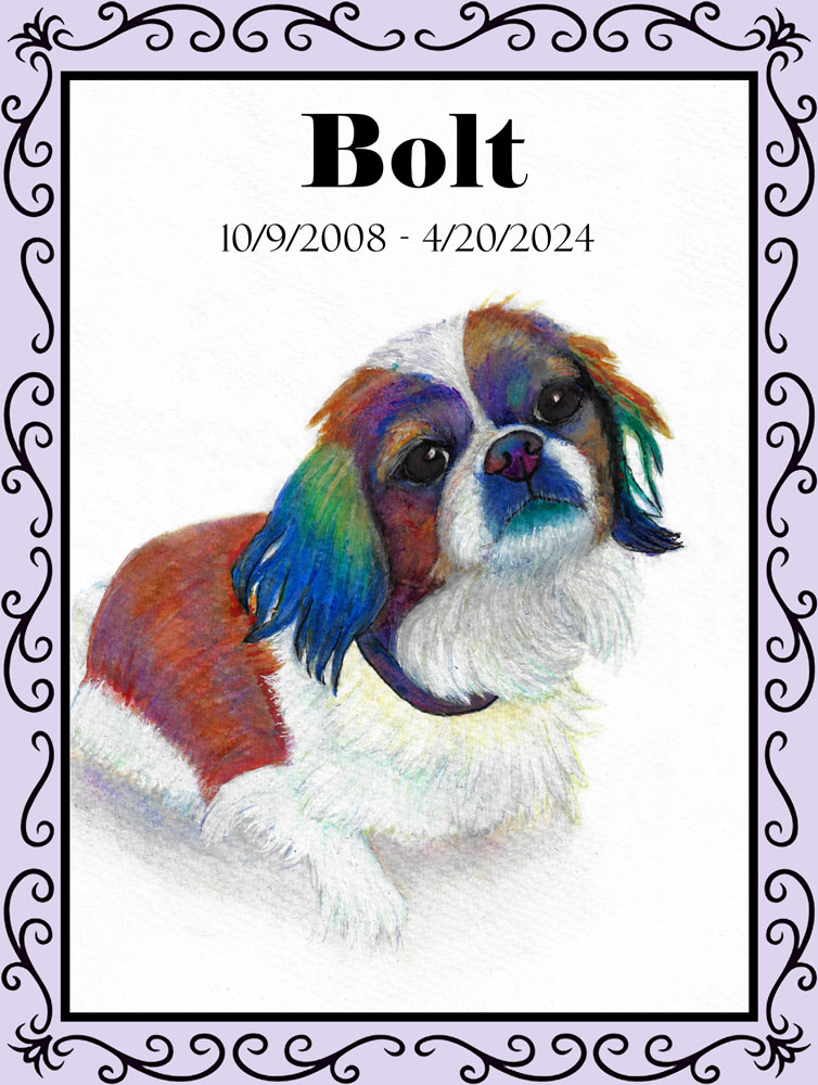 iamginaw's tweet photo. Memorial watercolor painting for my fur baby. https://t.co/tGnreqASBg https://t.co/OGe9BeII6o