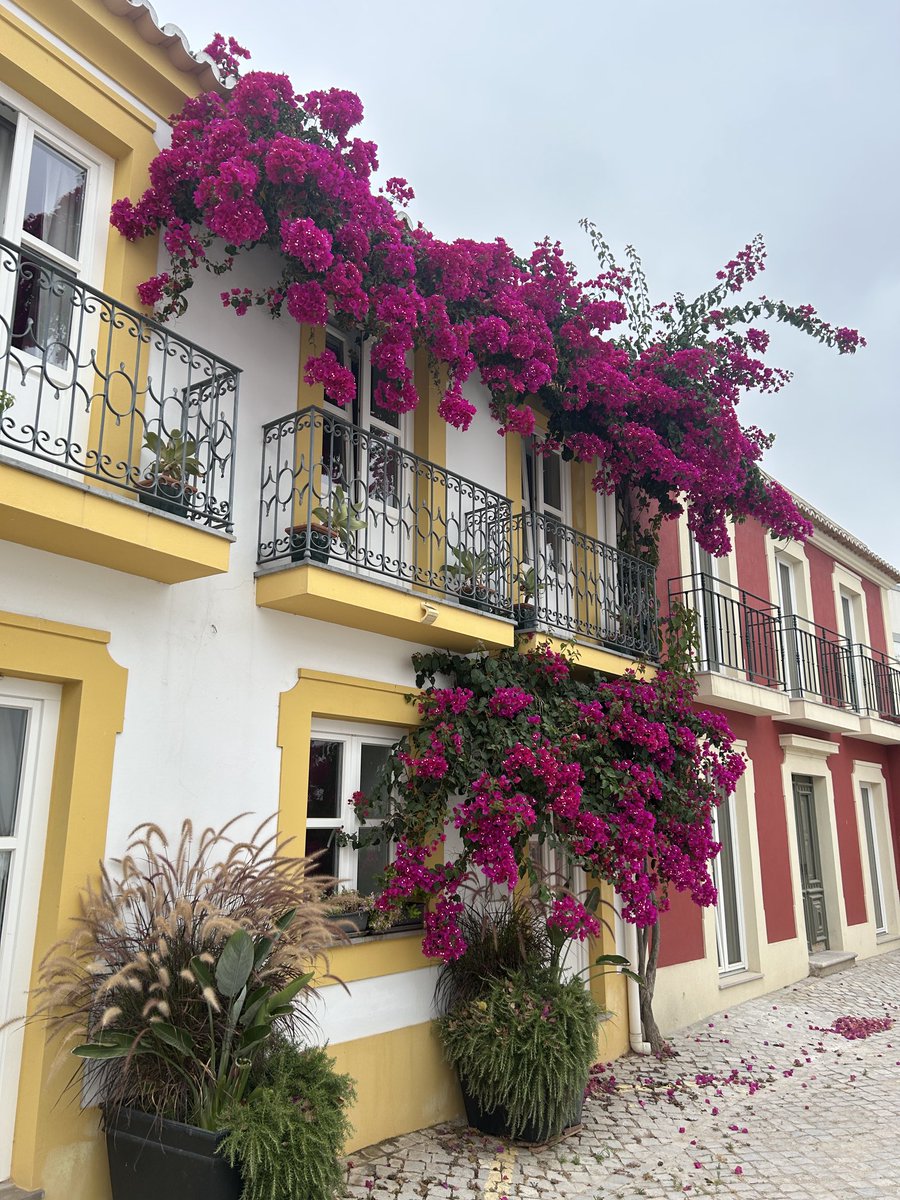 Out in Tavira #Portugal for my wife’s retirement holiday (30 yrs D&amp;C Police done!) it’s a superb place #healthandwellbeing