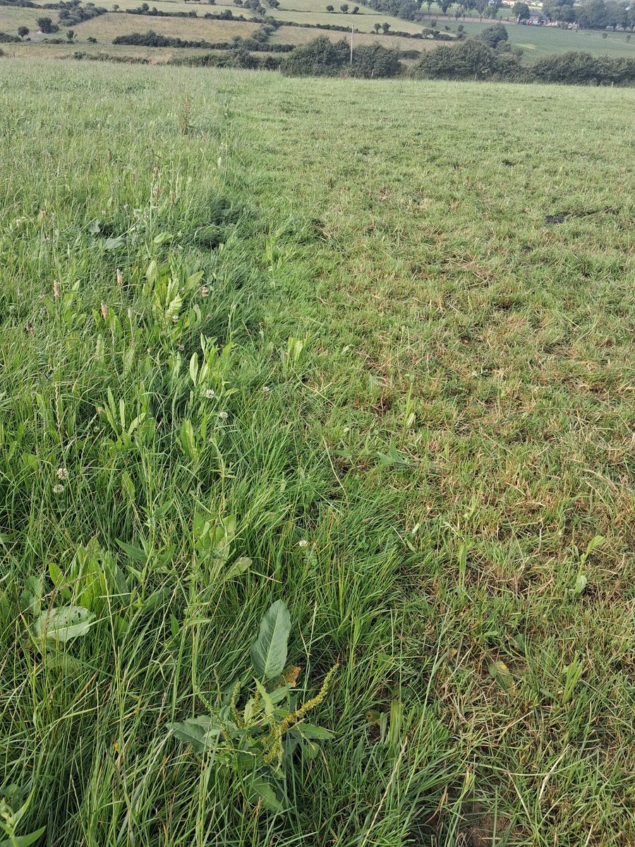 A year in mss continues  to impress