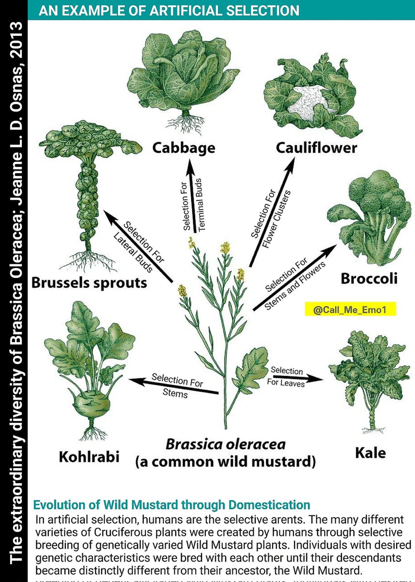 Call Me Emo tweet media