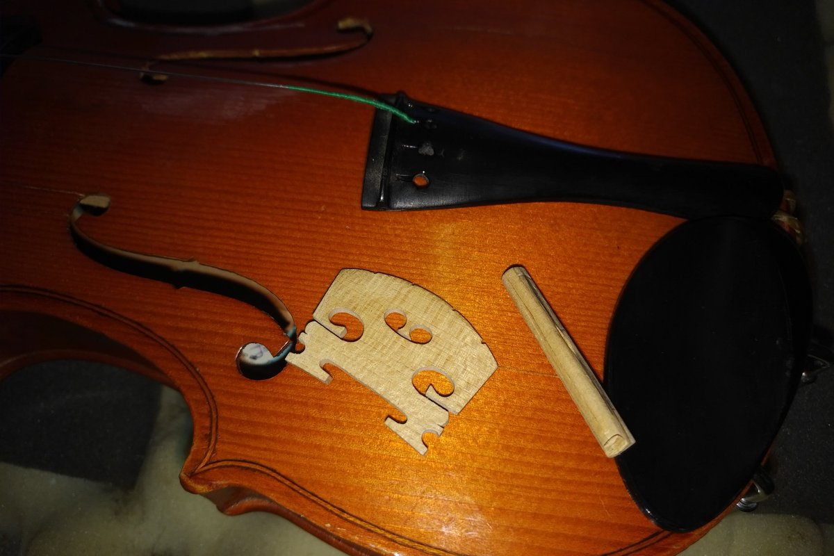 Dominant Music tweet media