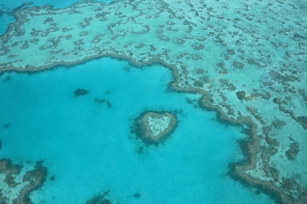 One day Photography will be the only testimony remaining of what earth is - on-chain photography adds a stamp to this testimony
The Great barrier reef may disappear one day - at least there will be a proof of what it looked like