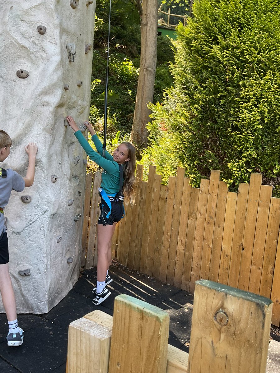 FionaJones Year 5 tweet media