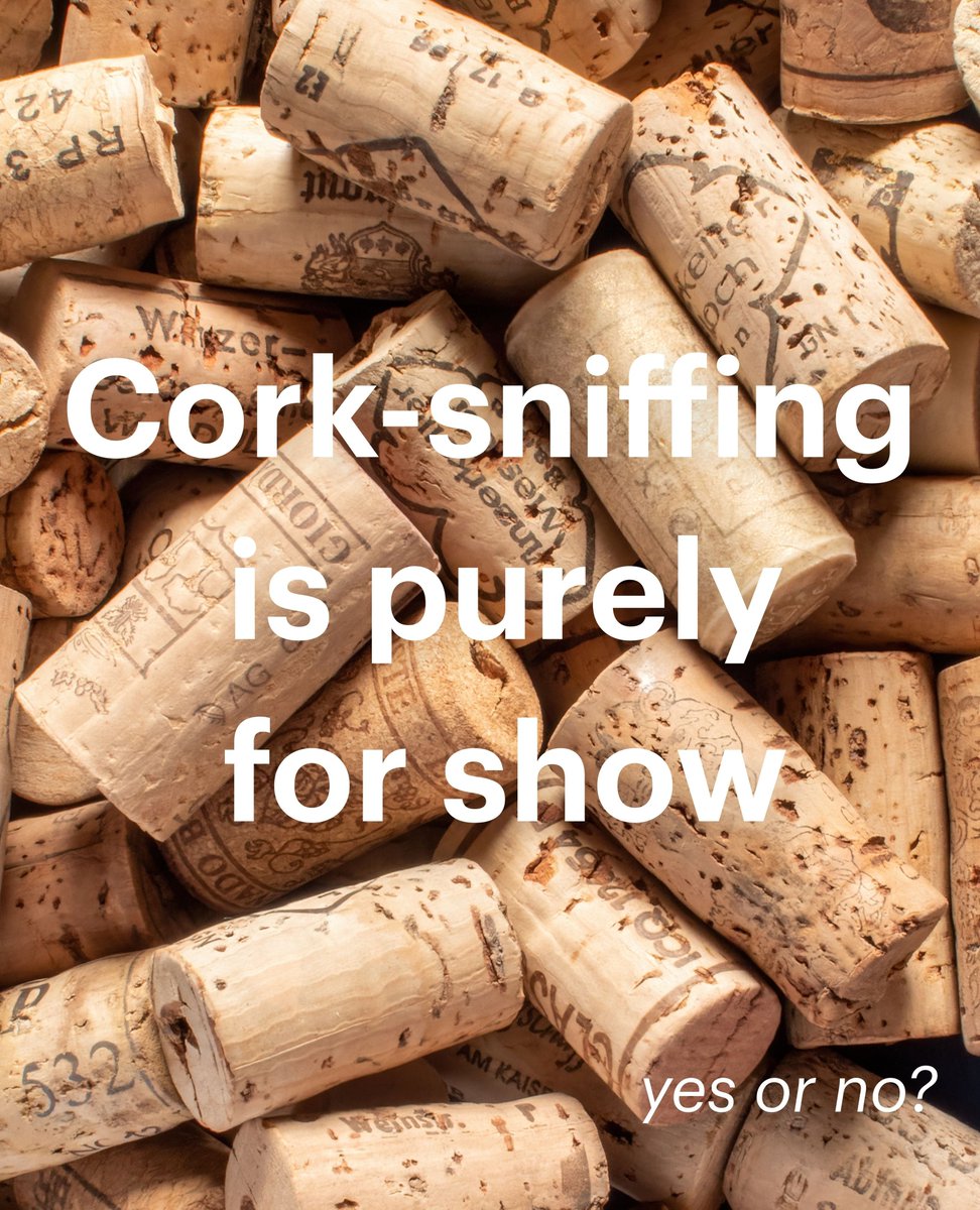 Is cork sniffing just a fancy show or an essential part of the wine experience? 🥂 ⁠
⁠
Some say it’s all about the theatrics, while others argue it’s the key to uncovering hidden gems. What do you think? ⁠
⁠
Let’s uncork this debate in comment section! 🍷✨