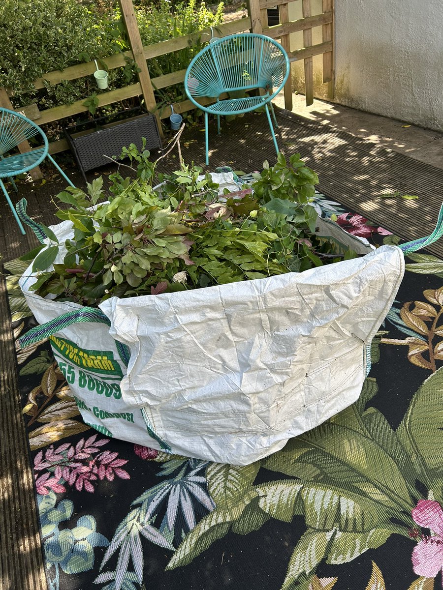 I told Ian I was going to do a little bit of gardening. I lied 🤣 #bulkbag #SummerPrune #livingmybestlife
