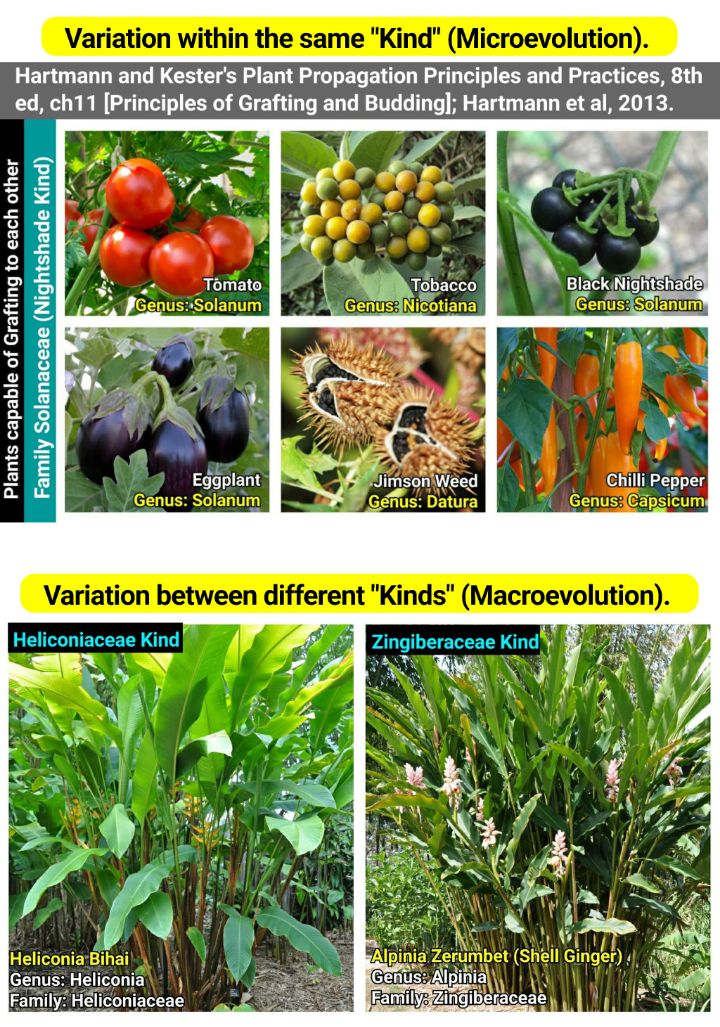 Call Me Emo tweet media