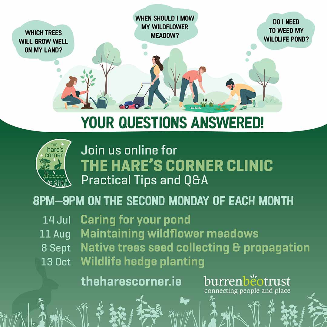 farmfornature's tweet image. 🌿 New from our friends @BurrenbeoTrust
The Hare’s Corner Clinic starts July 14 @ 8pm
💧 Focus: Caring for Your Pond w/ Féidhlim Harty
💻 Free & online – Register here:
🔗 us02web.zoom.us/webinar/regist…
Supported by Lifes2Good Foundation 🌱