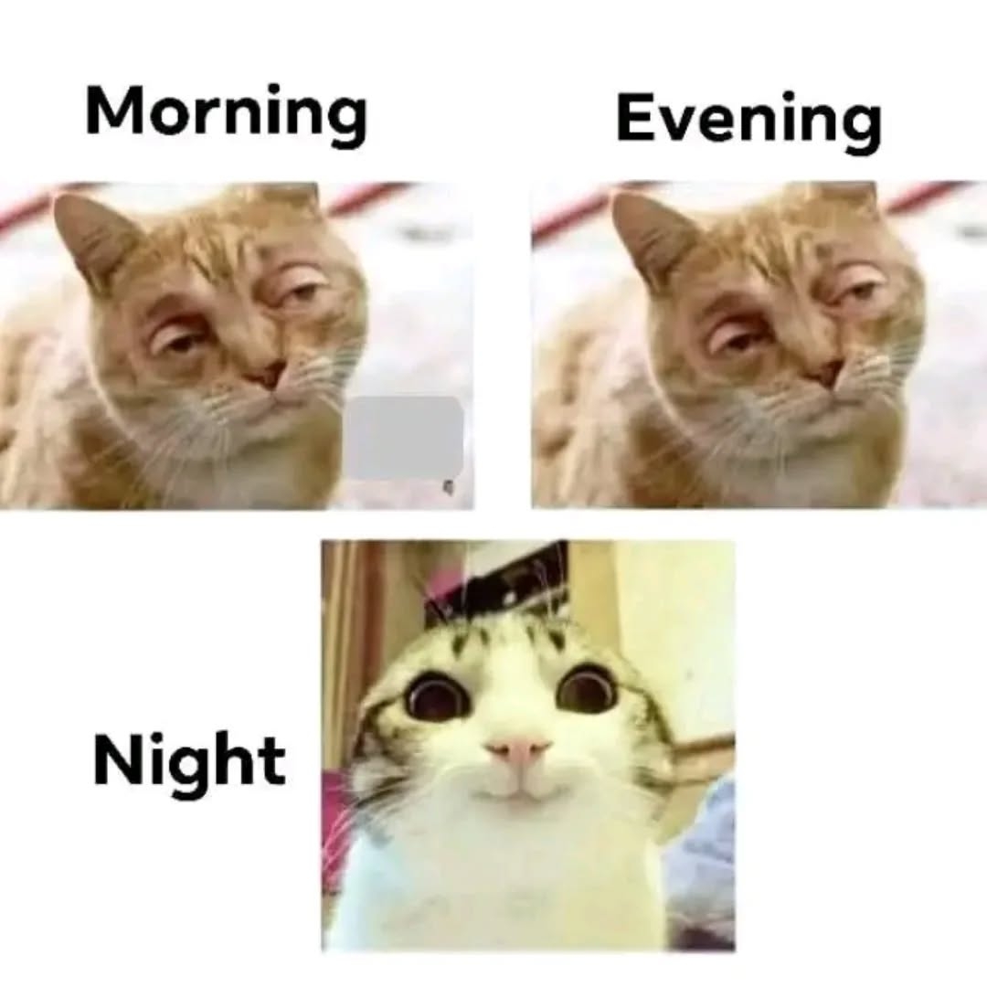 GvWNg4HaYAQYDa7