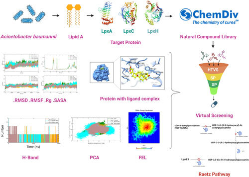 Journal of Computational Biophysics & Chemistry tweet media
