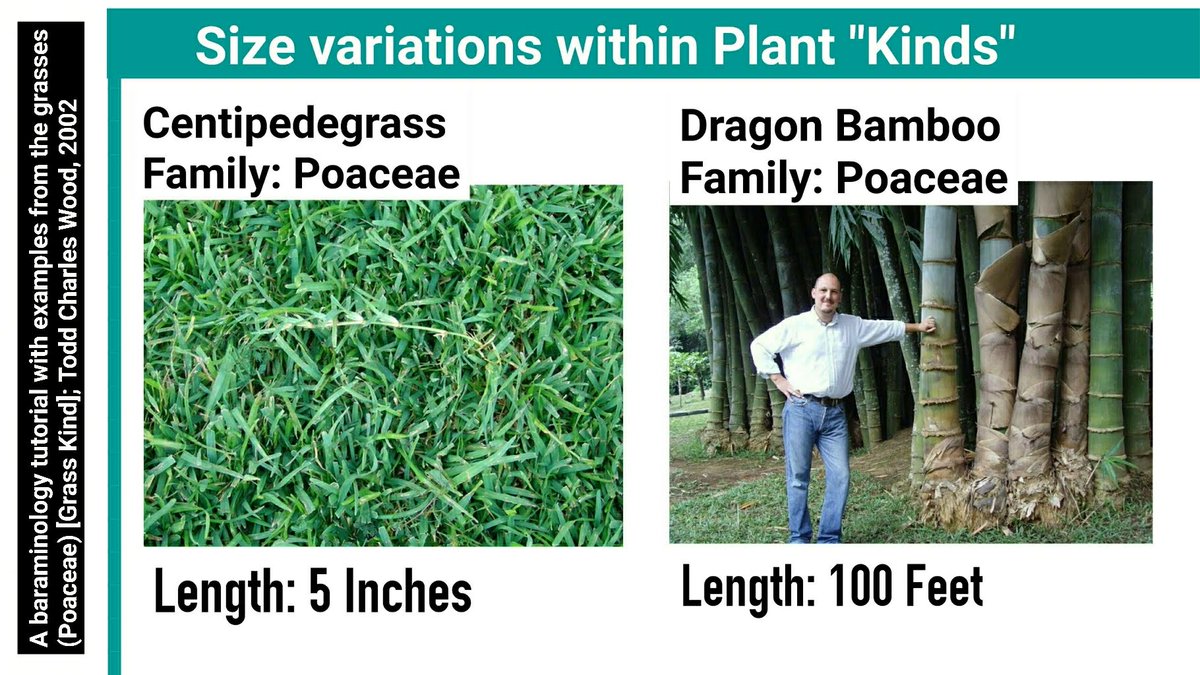 Call Me Emo tweet media