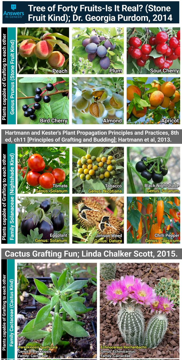 Call Me Emo tweet media