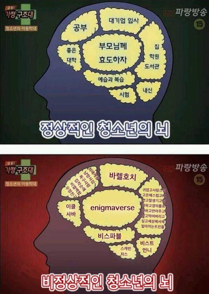 부빕 (@bubib_00) on Twitter photo 