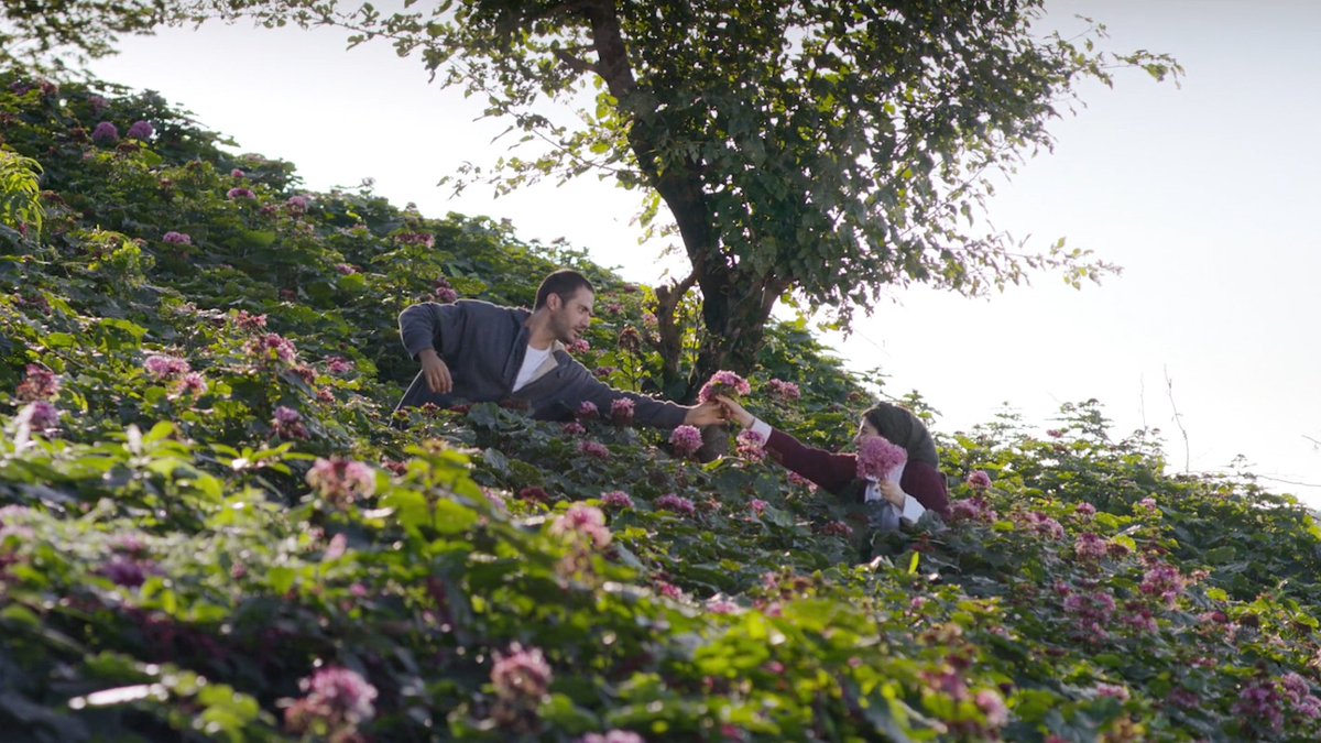 acacinema's tweet photo. “I feel like… we can’t fully understand someone’s feelings. So, when we give them flowers, it’s like we’re giving them a sign… that we try to understand their situation through the flowers we send.”

Falling in Love Like in Movies (2023) https://t.co/y5vMM5qTFc