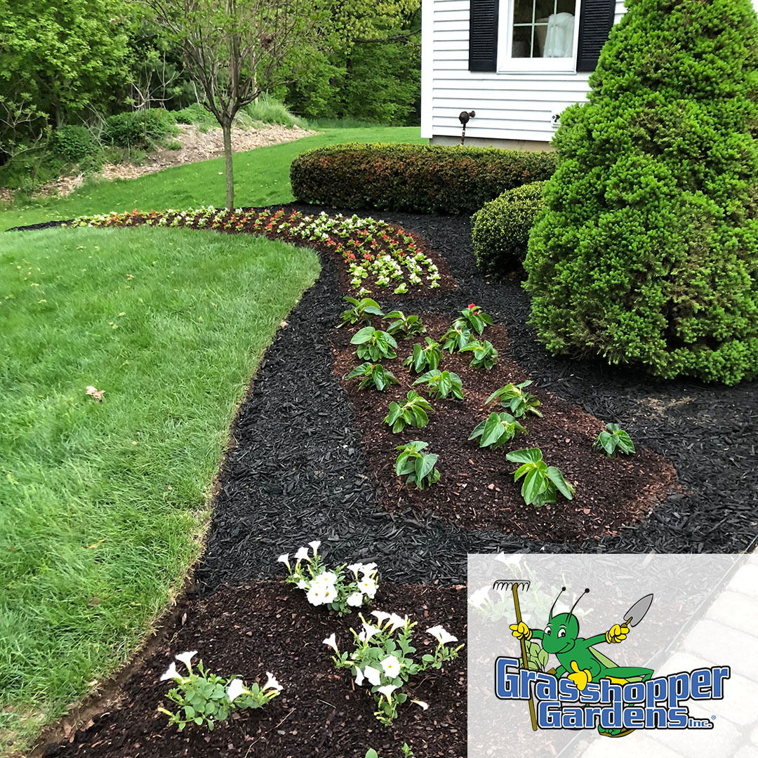 GrasshopperGrdn's tweet photo. Transform your yard with expert tree &amp; plant installation from Grasshopper Gardens! ��🌸 Book your consultation now and bring your landscape to life. https://t.co/mVQuTrSXqP

#grasshoppergardens #landscapedesign #landscaping #lawncare https://t.co/iLSGMCwskI