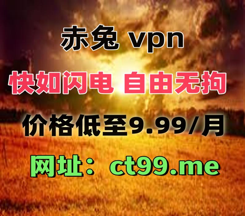 VPN加速器翻墙软件梯子 tweet media