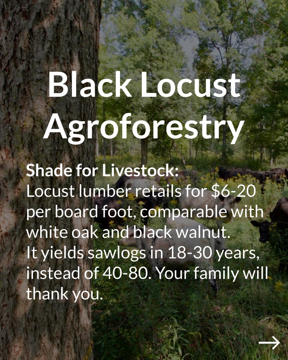 Propagate tweet media