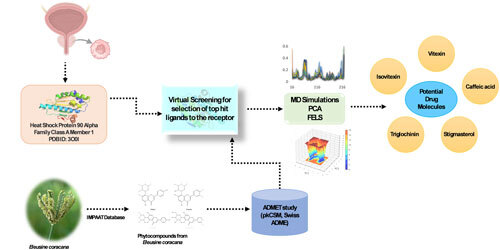 Journal of Computational Biophysics & Chemistry tweet media