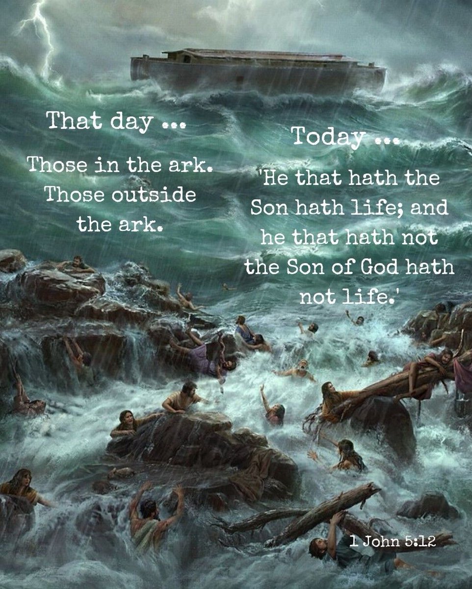eslcooperative's tweet image. That day ... Those in the ark. Those outside the ark.
Today ... "He that hath the Son hath life; and he that hath not the Son of God hath not life'
#esl #eslteacher #eslteachers #eslcalgary #calgaryesl #churchesl #Father #God #jesus #bible #pray #religion #christianity