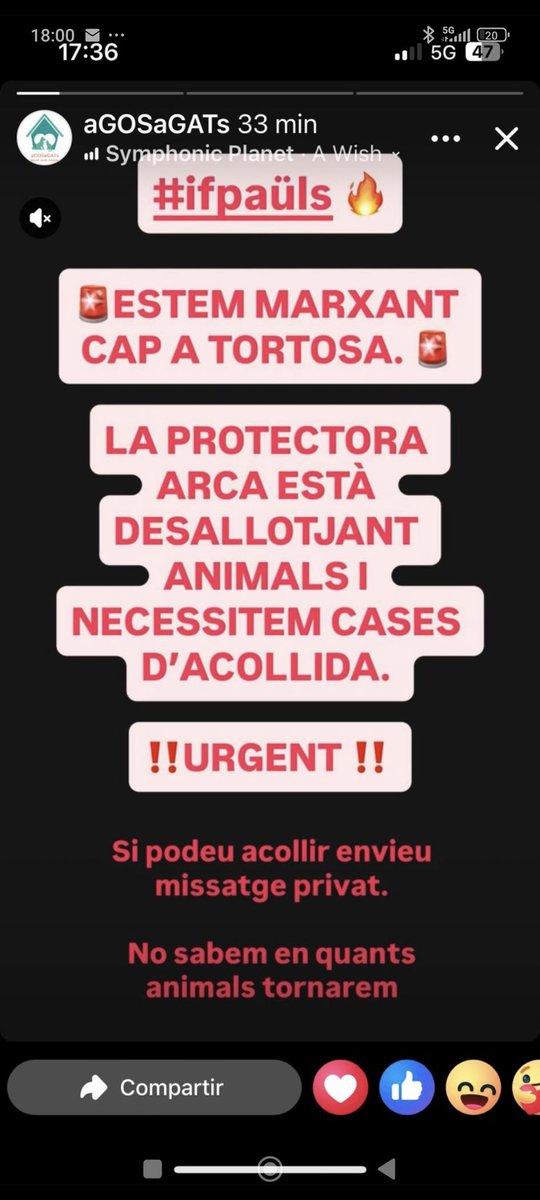 MUY URGENTE HAY QUE DESALOJAR LA PROTECTORA POR EL INCENDIO.

AYUDA POR FAVOR