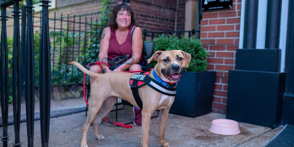 WorldChessHOF's tweet image. We had the best time at our adoption event with Care STL! 🐾

From pet adoptions to arts &amp;amp; crafts to live music - we’ve got something for everyone! Check out our website for all of our upcoming programs and events.

#worldchesshof #carestl #stlevents