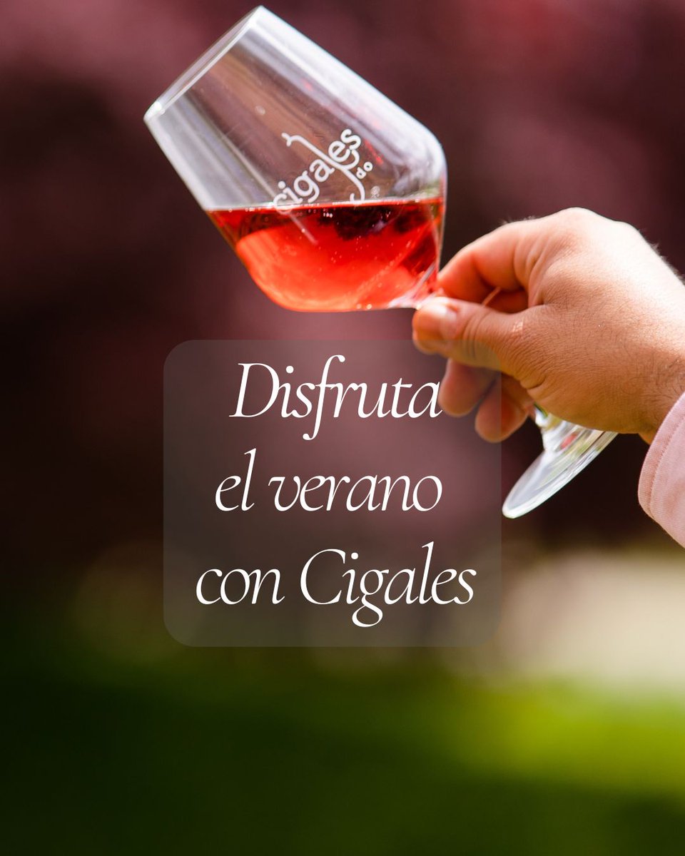 Llega el calor, las cenas tardías, los días más largos, ¡nos encanta el verano! Y no se nos ocurre mejor manera de disfrutarlo que con nuestros claretes y rosados. Equilibrados, frescos, complejos...¡hay uno para ti! 🍷 ⛱️#DOCigales