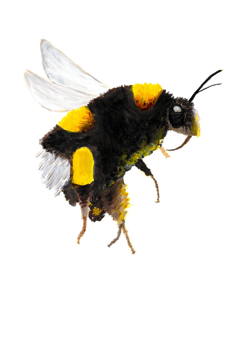 And Ella C has a great ability to capture #detail in her #artwork, which she has achieved excellently here with her #skilful #bee #painting. Ella has been a brilliant student this year, in both lessons and #art club. Well done to both students! 3/3