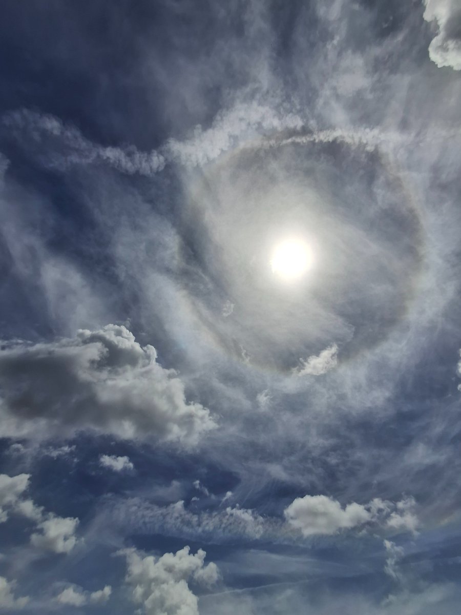 RTPatriot125086's tweet image. Welcome to theFreak show we call the Unshine State .Bring your gas mask..