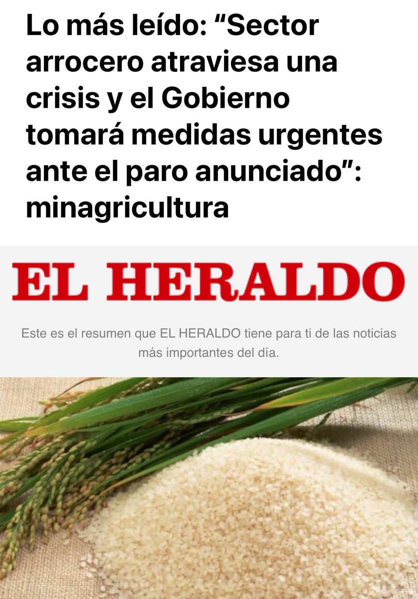 La única medida urgente es   destinar un incentivo para garantizar el precio punto de equilibrio al productor ($1.520.000 x tonelada) de paddy verde, teniendo en cuenta un costo de $7.000.000 x ha y un rendimiento de 5,4 ton x Ha. ⁦<a href="/MCarvajalinoV/">Martha Carvajalino</a>⁩⁩ ⁦<a href="/Dignidad_Agro/">DignidadAgropecuaria</a>⁩