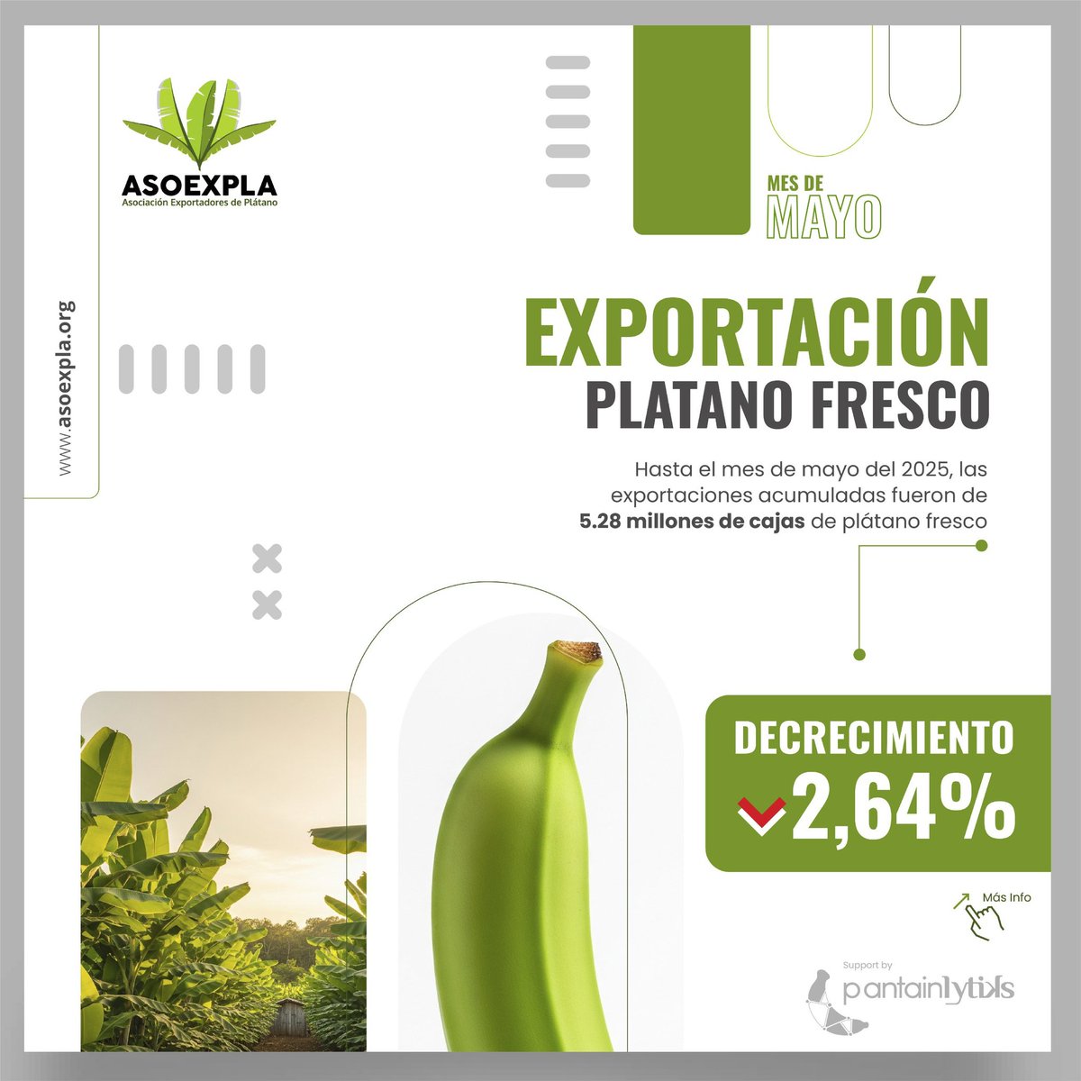 asoexpla's tweet image. 📌 EXPORTACIÓN PLÁTANO FRESCO | MAYO 2025
Exportaciones alcanzan 5.14M de cajas (-2.64% vs. 2024).
🇺🇸 EE.UU. sigue como principal destino (82%)
Variedades más exportadas:
• Barraganete
• Burro 
• Hartón 
📩 estadisticasOEP@asoexpla.org
📩 ventasOEP@asoexpla.org
#Plátano