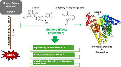 Journal of Computational Biophysics & Chemistry tweet media