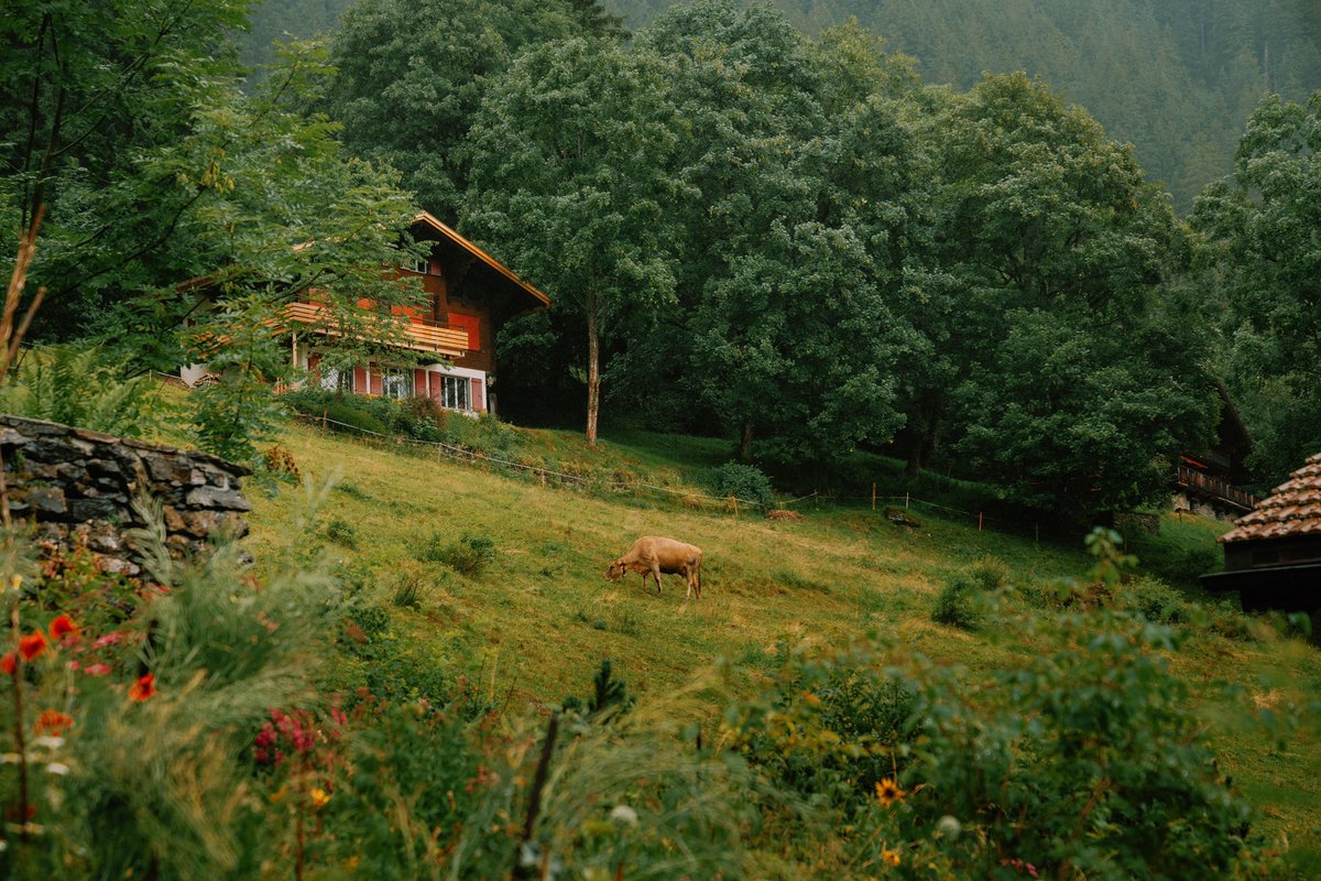DanielCasson1's tweet image. First day in Switzerland //