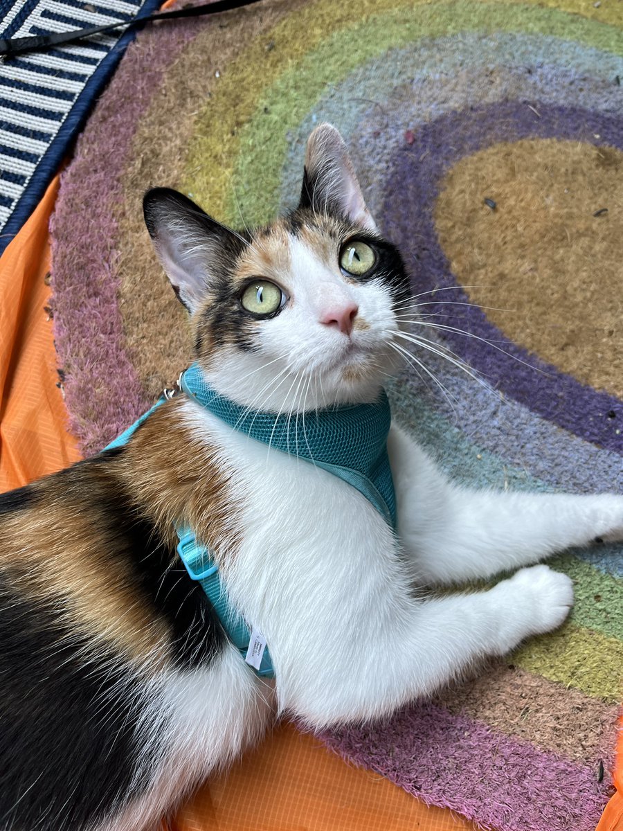 getting sum sun ☀️