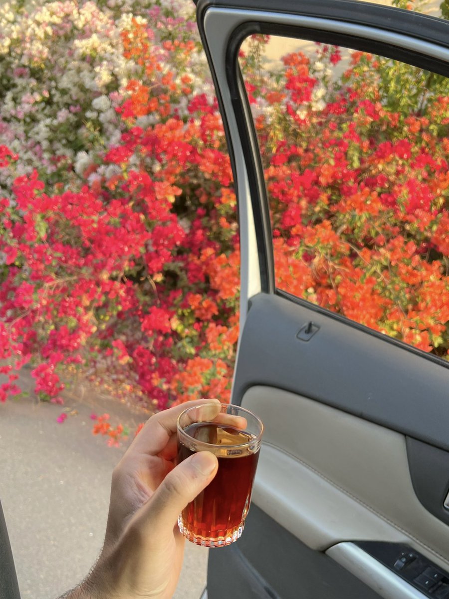 عشوائيات من يوم الثلاثاء ؛