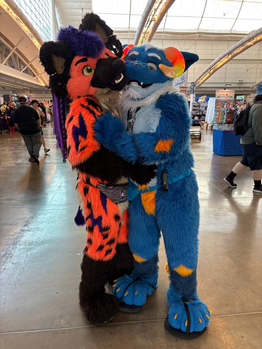 ⚡️Vaalrein Hyena⚠️ (@vaalrein_hyena) on Twitter photo This bulf gives the BEST hugs 💙🧡
<a href="/Calmide_Bulf/">The Huggabulf™️ 🔜 MP, EDCO</a>
📸: <a href="/DaneIsABull/">@danemoo.bsky.social @MFF</a> This bulf gives the BEST hugs 💙🧡
<a href="/Calmide_Bulf/">The Huggabulf™️ 🔜 MP, EDCO</a>
📸: <a href="/DaneIsABull/">@danemoo.bsky.social @MFF</a>