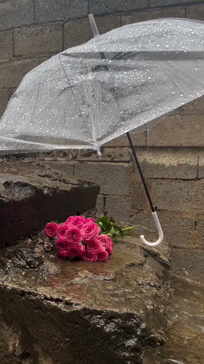 Rosielee2Grecia's tweet image. 🌻Be like a flower: survive the rain, but use it to grow.