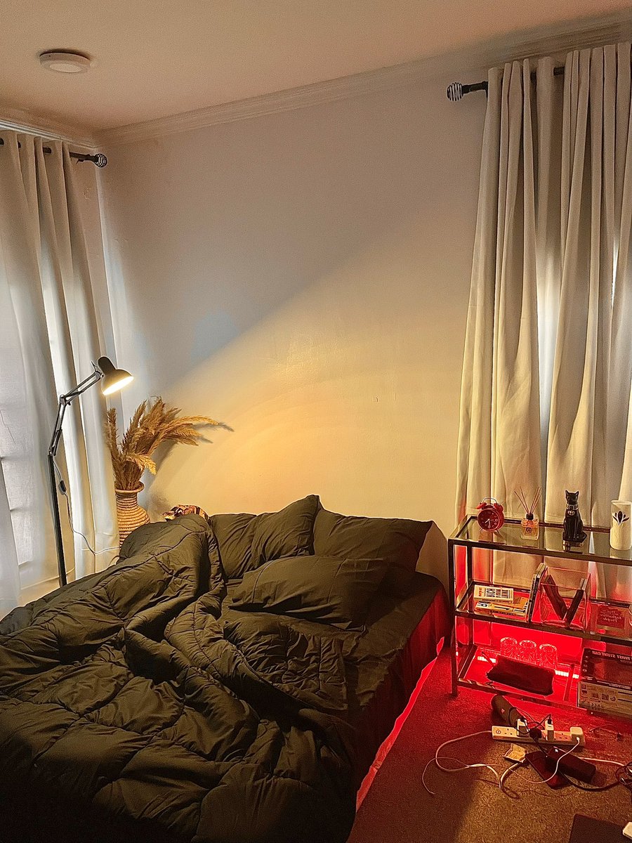 HLF_soes's tweet photo. I always have a deep urge to want to create  it’s where I find the most life satisfaction. I love imagining and inventing, basically a creative polymath 
Here is a stainless steel display shelf I designed and built for my room,
I plan to create even more pieces next year. https://t.co/MXzhIebCDa