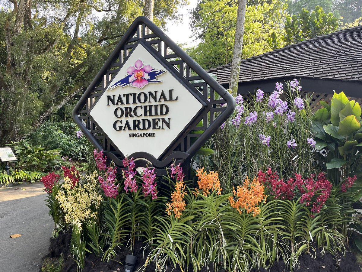 muller_group's tweet image. What a cool place - #dinner in the #botanic #garden of #Singapore after having seen the #orchid garden with an unbelievable amount of open air growing orchids - a true highlight of the ACS Applied Materials &amp;amp; Interfaces (@ACS_AMI) editors family meeting at #AMIC2025