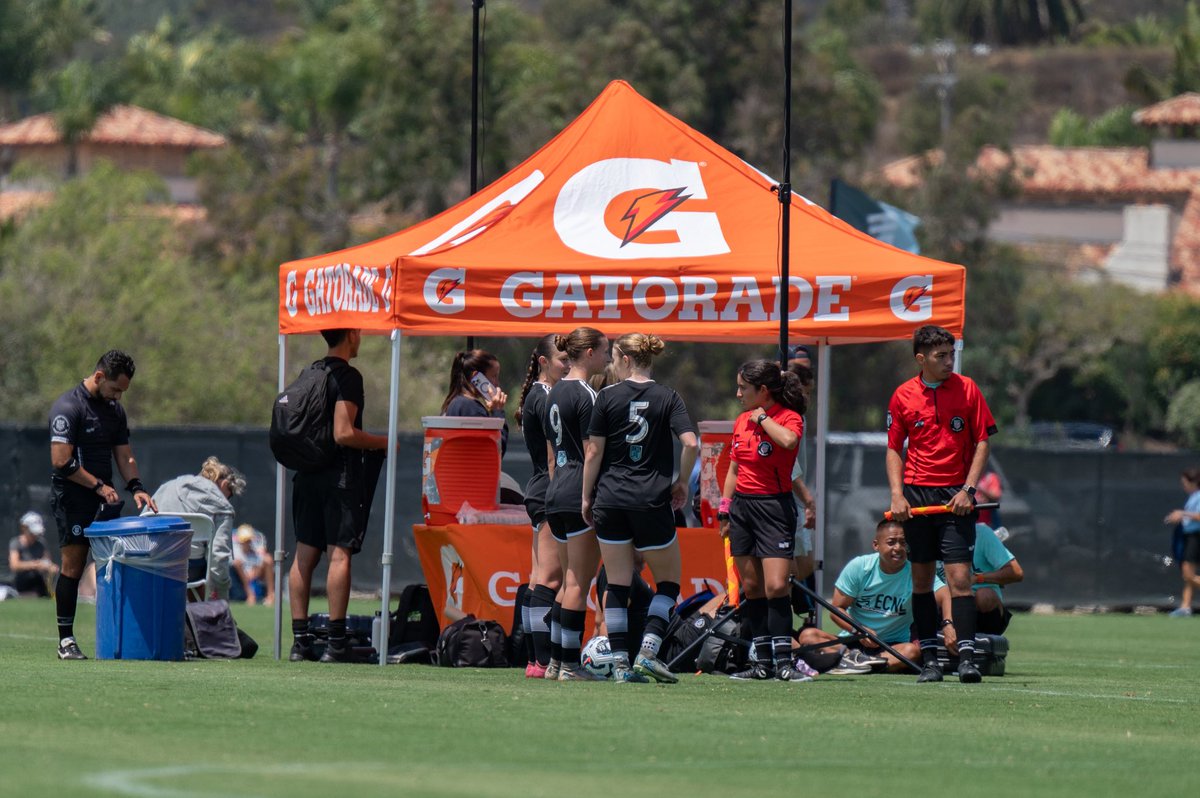 Amanda Bush tweet media