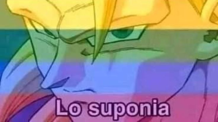 Rawita diciendo en chat tipo "Imantado que se calle, que cuando me descuido ya está metiéndole mano a Noni" JHAKSJAJS diciendo lo que todos sabíamos