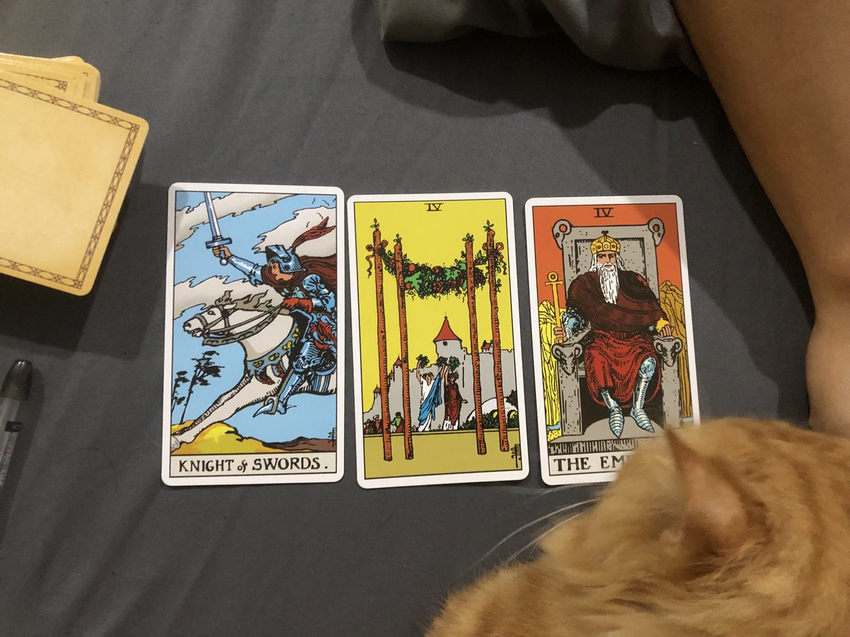 neoths72's tweet photo. Nakikibasa din si meow meow ng tarot https://t.co/U8klwemuWB