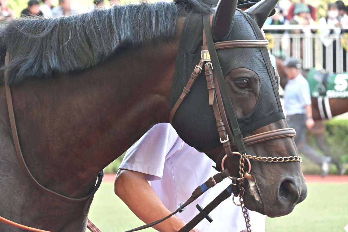 Tuki041229's tweet image. 小倉競馬場
11R ヨシノイースター×内田博幸
2着
嬉しかった
2025.07.06