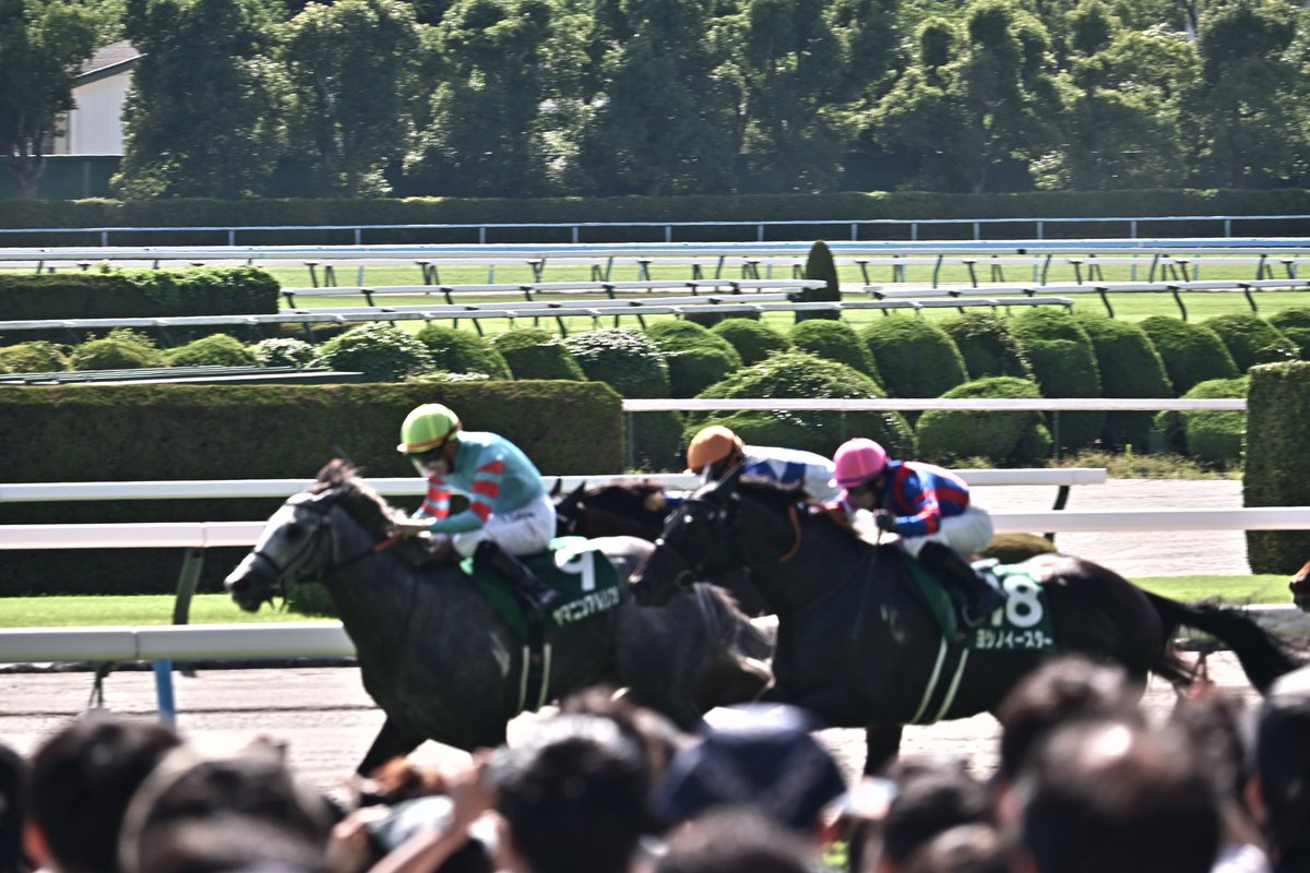 Tuki041229's tweet image. 小倉競馬場
11R ヨシノイースター×内田博幸
2着
嬉しかった
2025.07.06