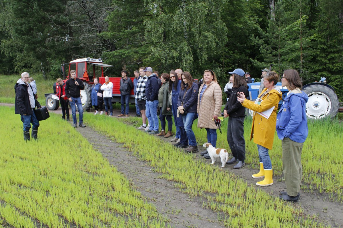 OrgClimateNET's tweet image. 🌾 What a day at Kampars Organic Farm in Sauvo, Finland! 🍓🚜

As part of the #OrganicClimateNET visit, farmers from across Europe explored this diverse organic farm focused on soil health, smart practices &amp;amp; tasty local food. 🙌

More at: organicclimatenet.eu