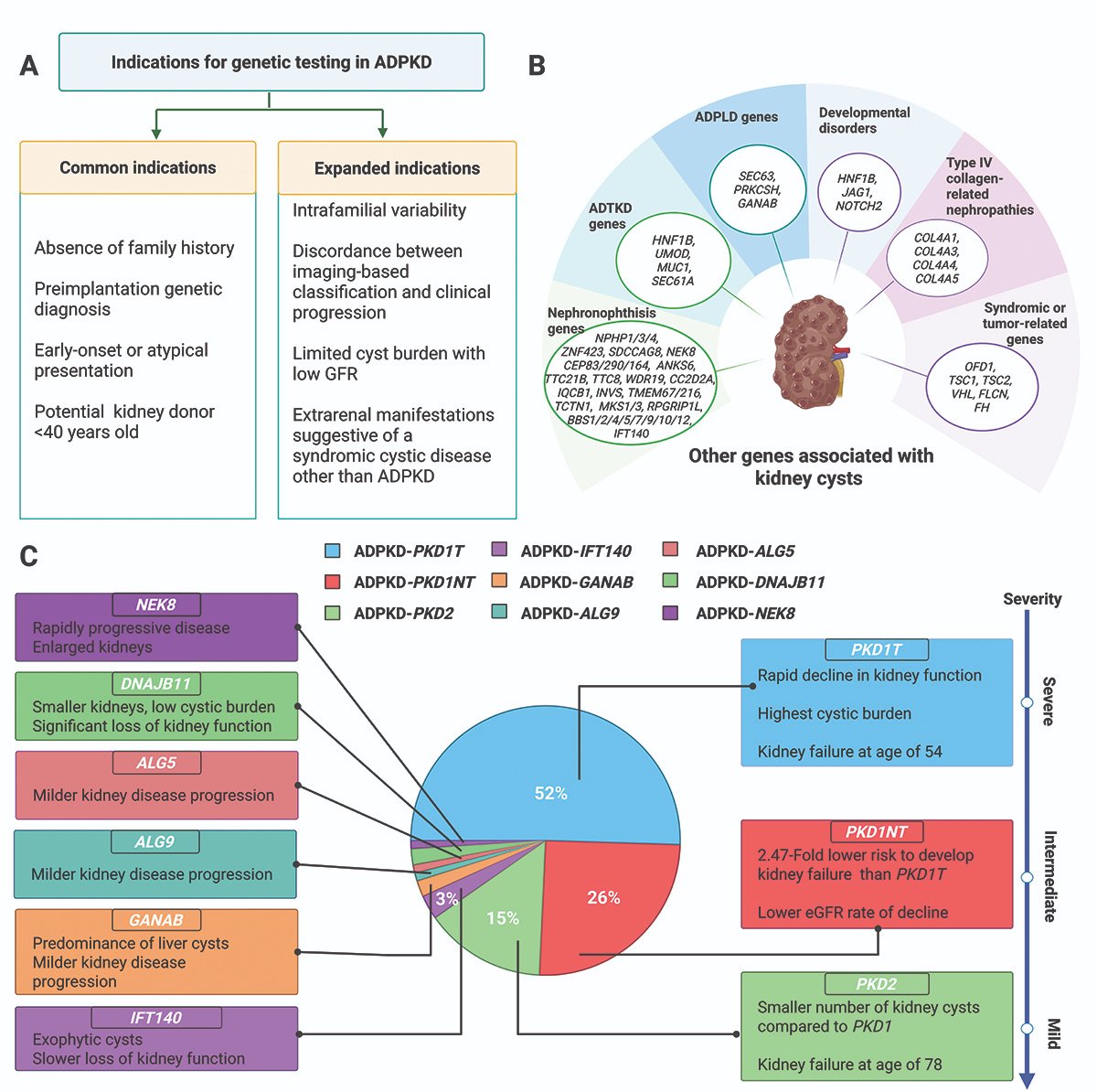 Kenar Jhaveri (@kdjhaveri) on Twitter photo Kidney News July 2025 <a href="/asnpublications/">ASN Publications</a> Clinical Practice Guidelines for Genetic Testing in ADPKD
Neera K. Dahl <a href="/pranavgarimella/">Pranav Garimella</a> and Fouad T. Chebib
kidneynews.org/view/journals/… Kidney News July 2025 <a href="/asnpublications/">ASN Publications</a> Clinical Practice Guidelines for Genetic Testing in ADPKD
Neera K. Dahl <a href="/pranavgarimella/">Pranav Garimella</a> and Fouad T. Chebib
kidneynews.org/view/journals/…