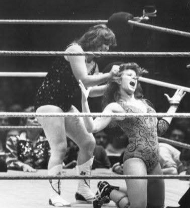 I miss REAL HAIR PULLING 
Leilani Kai pulling the hair of Wendy Richter