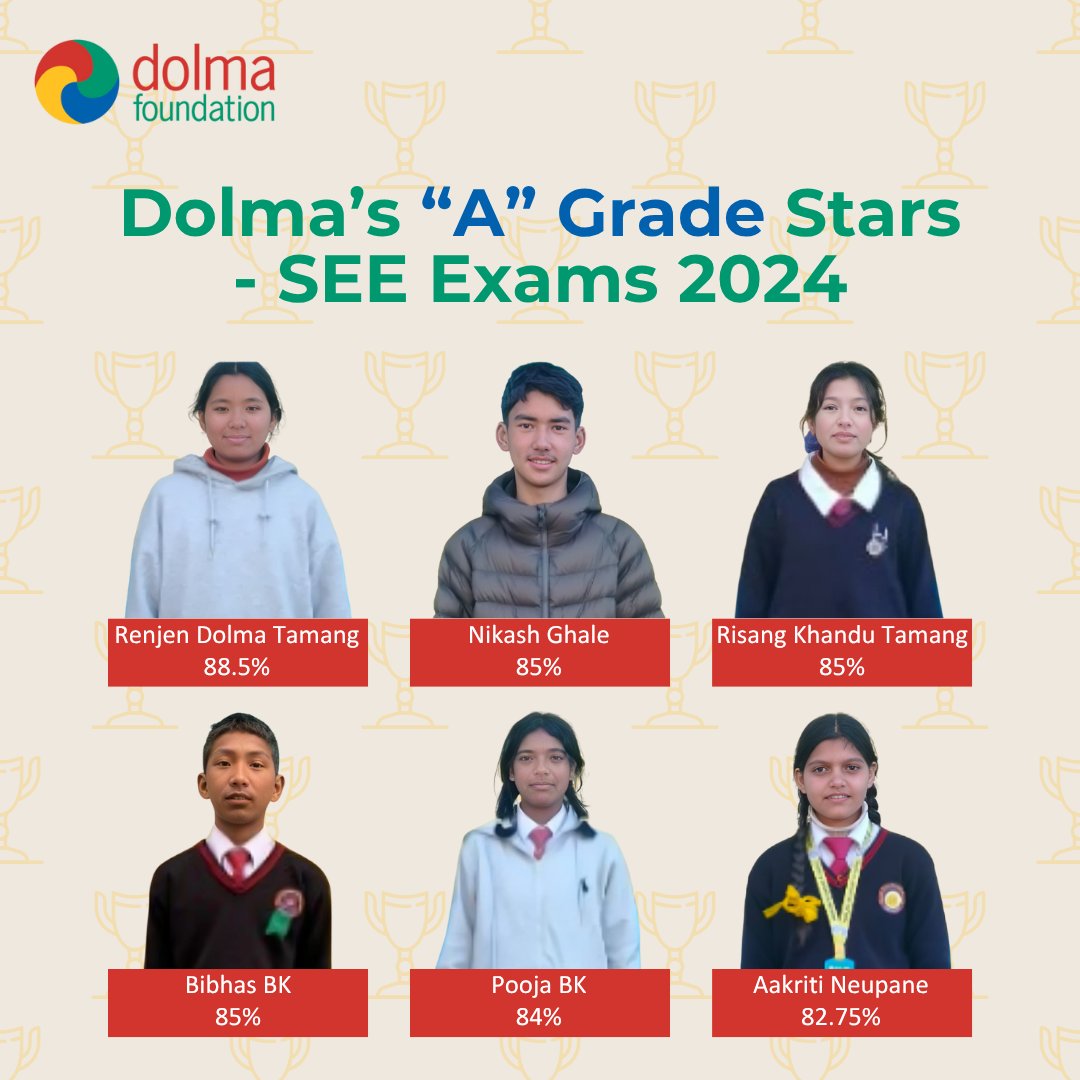 Dolma Foundation tweet media
