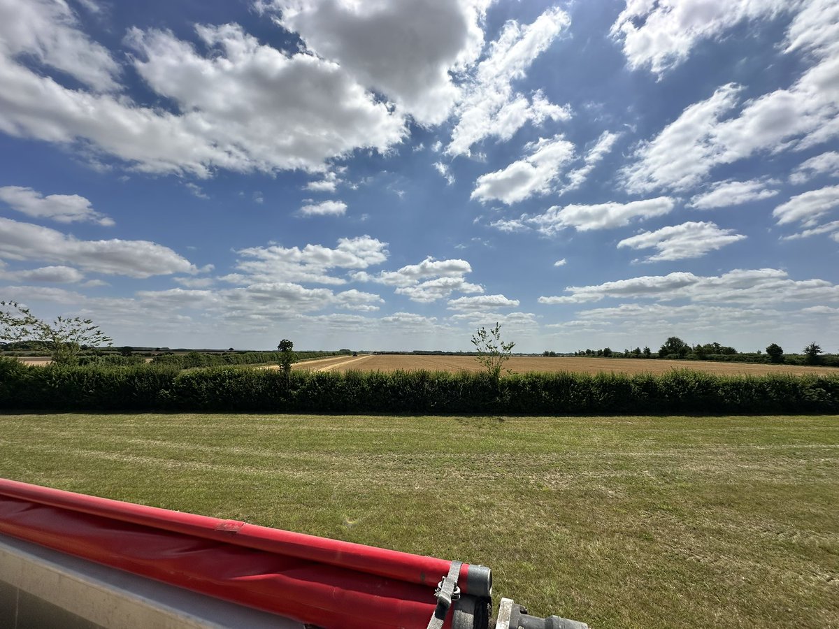 Dan Iles tweet media