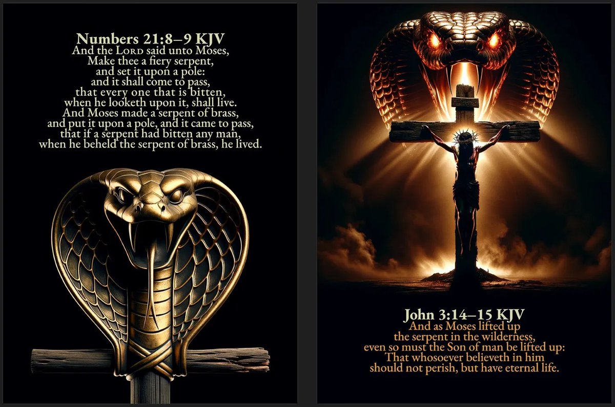KJV Cards tweet media