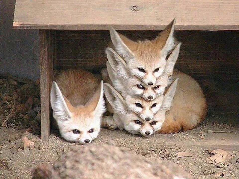 Ctrl-c ctrl-v
